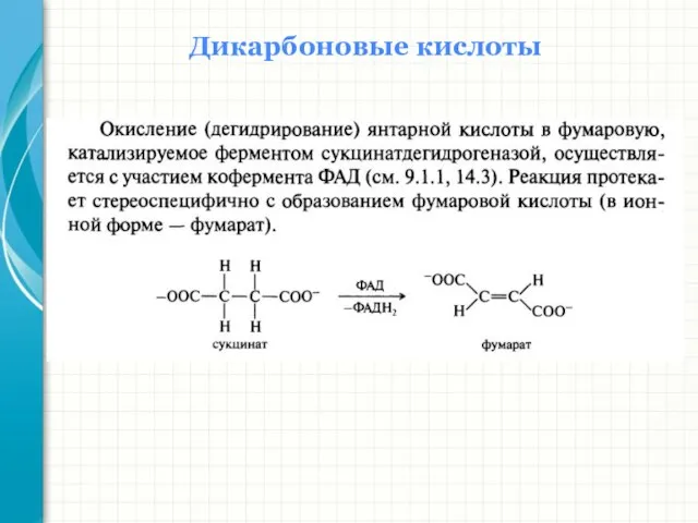 Дикарбоновые кислоты