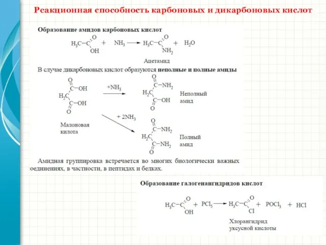 Реакционная способность карбоновых и дикарбоновых кислот