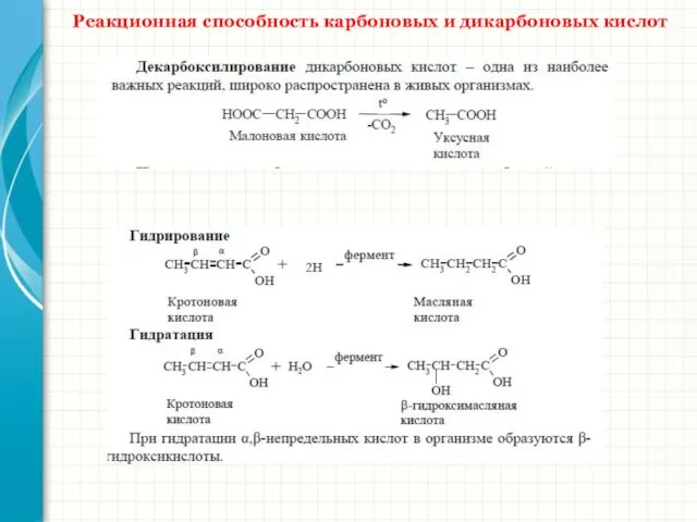 Реакционная способность карбоновых и дикарбоновых кислот