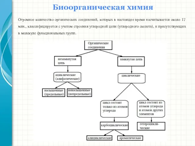 Биоорганическая химия Огромное количество органических соединений, которых в настоящее время насчитывается