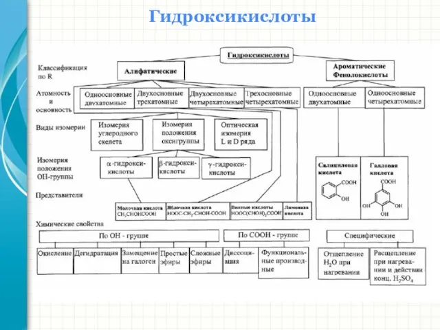 Гидроксикислоты