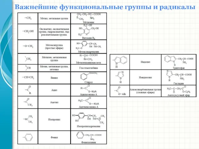 Важнейшие функциональные группы и радикалы