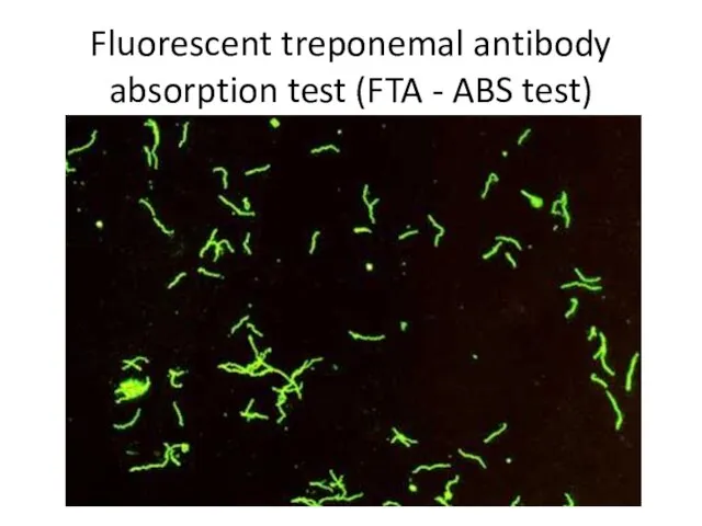 Fluorescent treponemal antibody absorption test (FTA - ABS test)