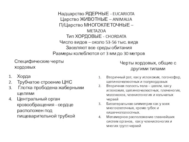 Надцарство ЯДЕРНЫЕ - EUCARIOTA Царство ЖИВОТНЫЕ – ANIMALIA П/Царство МНОГОКЛЕТОЧНЫЕ –