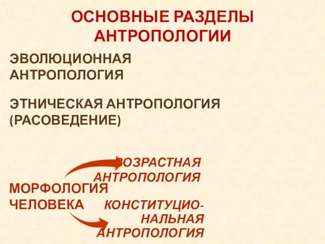 ОСНОВНЫЕ РАЗДЕЛЫ АНТРОПОЛОГИИ ЭВОЛЮЦИОННАЯ АНТРОПОЛОГИЯ ЭТНИЧЕСКАЯ АНТРОПОЛОГИЯ (РАСОВЕДЕНИЕ) МОРФОЛОГИЯ ЧЕЛОВЕКА ВОЗРАСТНАЯ АНТРОПОЛОГИЯ КОНСТИТУЦИО- НАЛЬНАЯ АНТРОПОЛОГИЯ