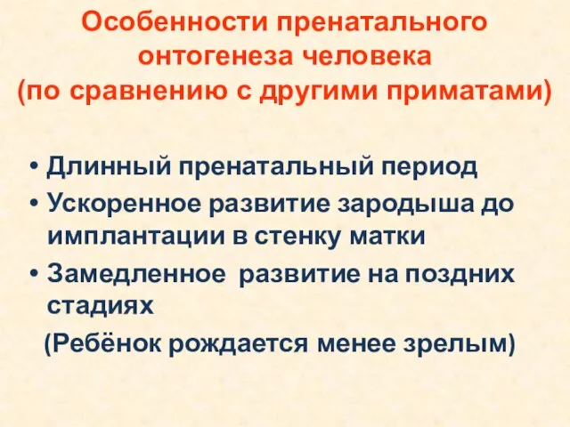 Длинный пренатальный период Ускоренное развитие зародыша до имплантации в стенку матки