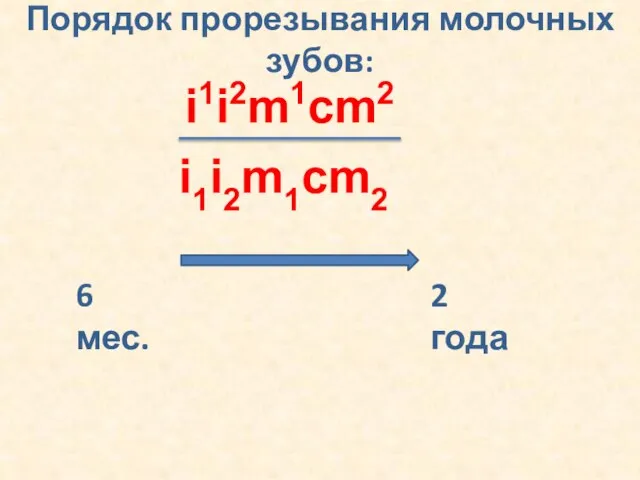 Порядок прорезывания молочных зубов: i1i2m1cm2 i1i2m1cm2 6 мес. 2 года