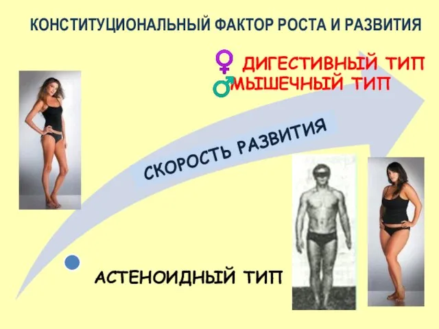 СКОРОСТЬ РАЗВИТИЯ ♂ КОНСТИТУЦИОНАЛЬНЫЙ ФАКТОР РОСТА И РАЗВИТИЯ