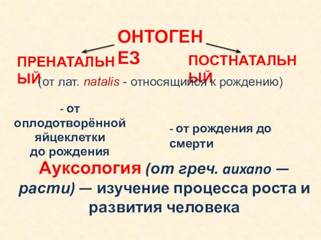 ОНТОГЕНЕЗ ПРЕНАТАЛЬНЫЙ ПОСТНАТАЛЬНЫЙ - от оплодотворённой яйцеклетки до рождения - от