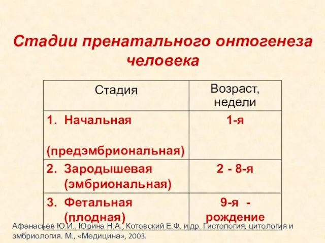 Стадии пренатального онтогенеза человека Афанасьев Ю.И., Юрина Н.А., Котовский Е.Ф. и