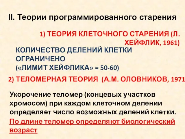 II. Теории программированного старения 1) ТЕОРИЯ КЛЕТОЧНОГО СТАРЕНИЯ (Л. ХЕЙФЛИК, 1961)