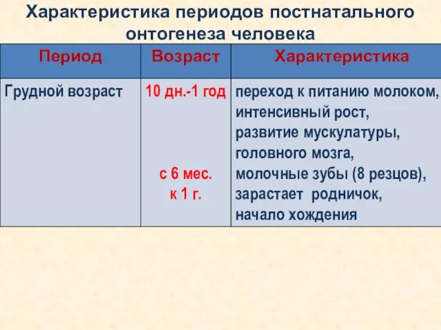 Характеристика периодов постнатального онтогенеза человека