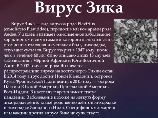 Вирус Зика — вид вирусов рода Flavirius (семейство Flaviridae), переносимый комарами