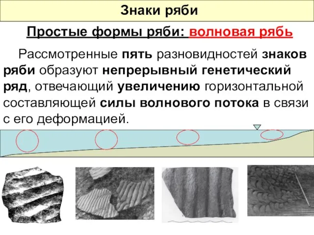 Знаки ряби Простые формы ряби: волновая рябь Рассмотренные пять разновидностей знаков