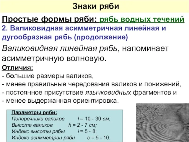 2. Валиковидная асимметричная линейная и дугообразная рябь (продолжение) Отличия: - большие