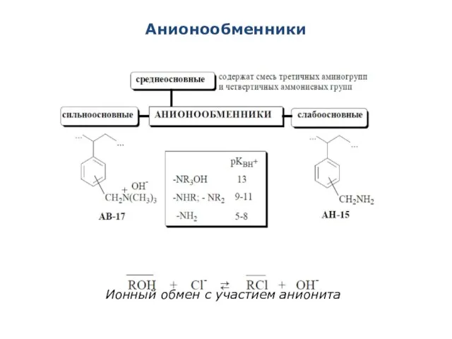 Анионообменники Ионный обмен с участием анионита