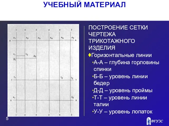 Рисунок ПОСТРОЕНИЕ СЕТКИ ЧЕРТЕЖА ТРИКОТАЖНОГО ИЗДЕЛИЯ Горизонтальные линии А-А – глубина