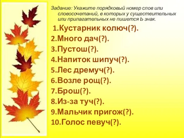 Задание: Укажите порядковый номер слов или словосочетаний, в которых у существительных