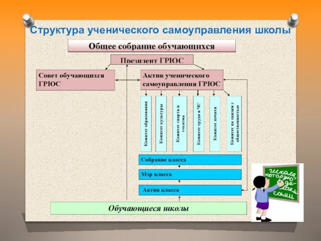 Структура ученического самоуправления школы