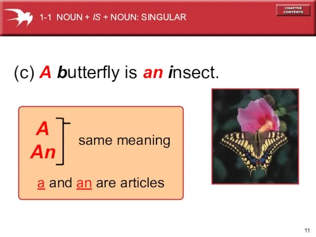 1-1 NOUN + IS + NOUN: SINGULAR (c) A butterfly is