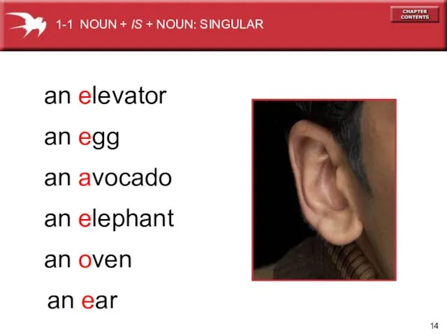 1-1 NOUN + IS + NOUN: SINGULAR an elevator an egg