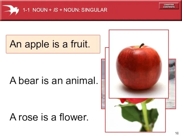 An apple is a fruit. A bear is an animal. A