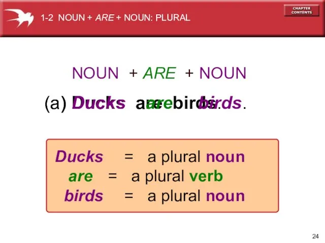 (a) Ducks are birds. (a) Ducks are birds. 1-2 NOUN +