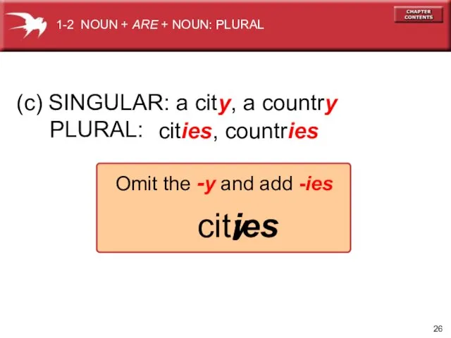 (c) SINGULAR: a city, a country PLURAL: cities, countries cit y