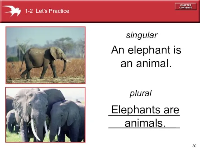 Elephants are animals. An elephant is an animal. singular plural 1-2 Let’s Practice