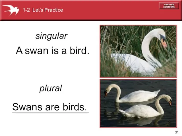 A swan is a bird. singular plural Swans are birds. 1-2 Let’s Practice