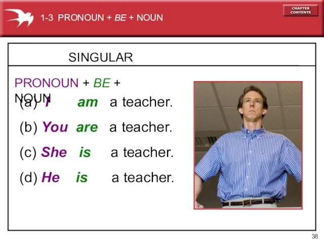 SINGULAR (a) I am a teacher. (b) You are a teacher.