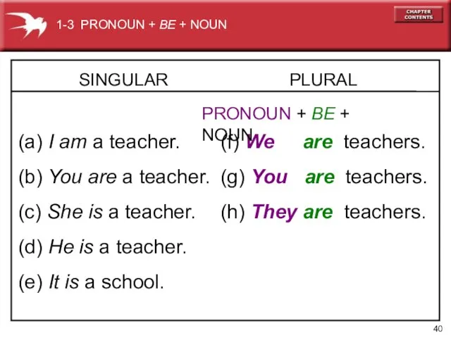 SINGULAR (a) I am a teacher. (b) You are a teacher.