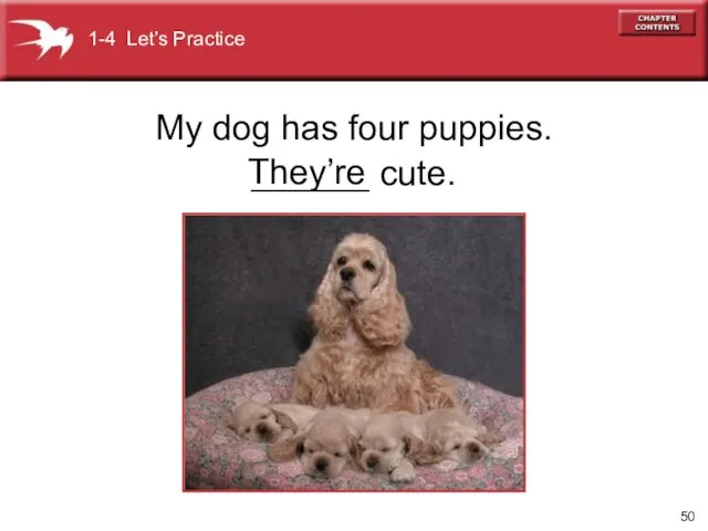 My dog has four puppies. ______ cute. 1-4 Let’s Practice They’re