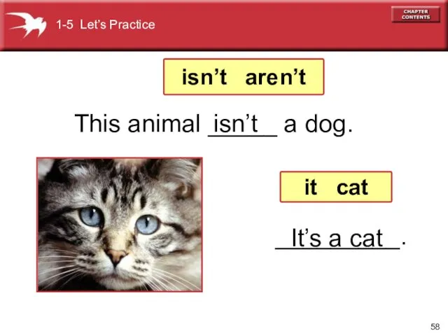 _________. 1-5 Let’s Practice isn’t It’s a cat This animal _____