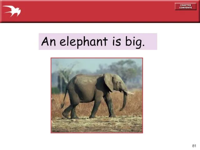 An elephant is big. 1-8 SUMMARY: BASIC SENTENCE PATTERNS WITH BE
