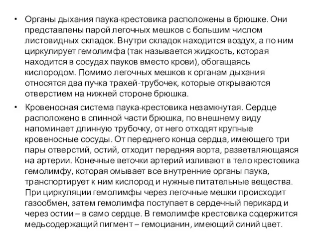 Органы дыхания паука-крестовика расположены в брюшке. Они представлены парой легочных мешков