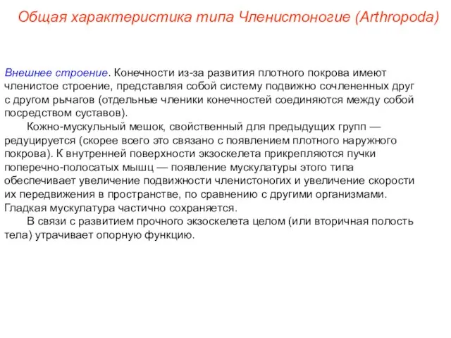 Внешнее строение. Конечности из-за развития плотного покрова имеют членистое строение, представляя