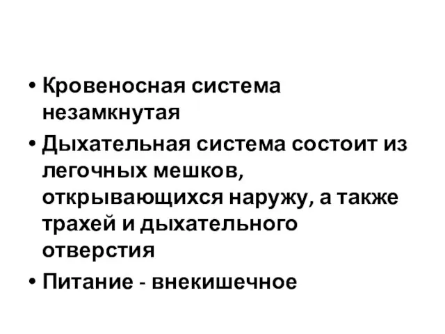 Особенности внутреннего строения Кровеносная система незамкнутая Дыхательная система состоит из легочных