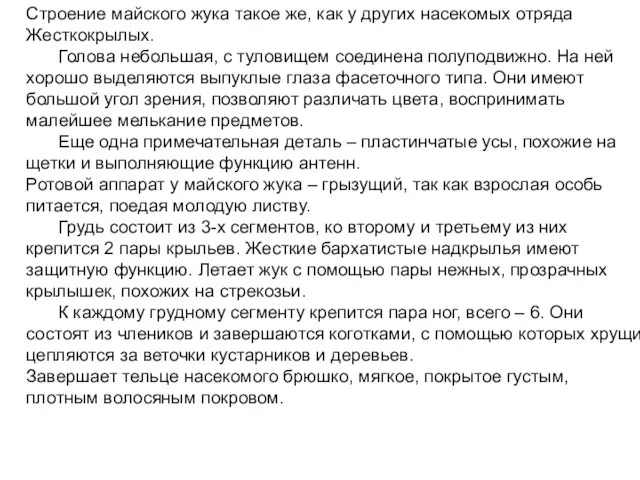 Строение майского жука такое же, как у других насекомых отряда Жесткокрылых.