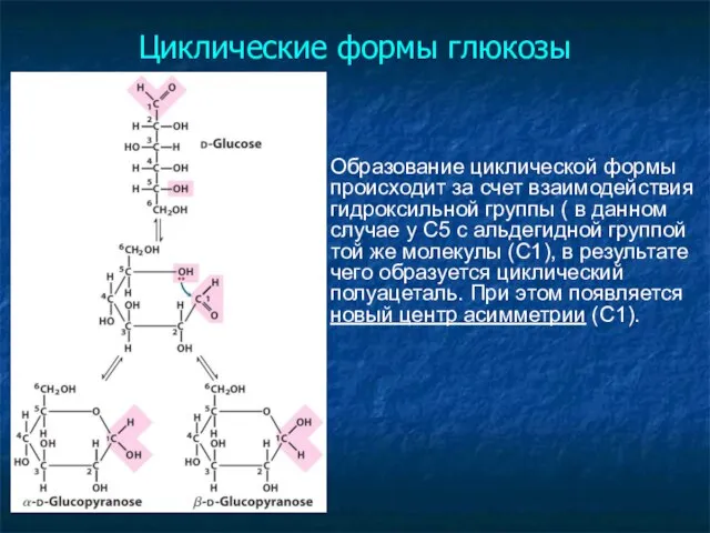 Циклические формы глюкозы Образование циклической формы происходит за счет взаимодействия гидроксильной