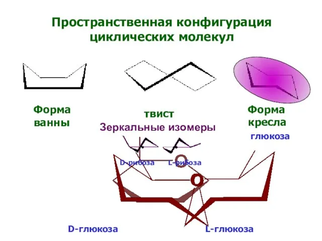 Пространственная конфигурация циклических молекул Форма кресла твист Форма ванны глюкоза D-глюкоза L-глюкоза Зеркальные изомеры D-рибоза L-рибоза