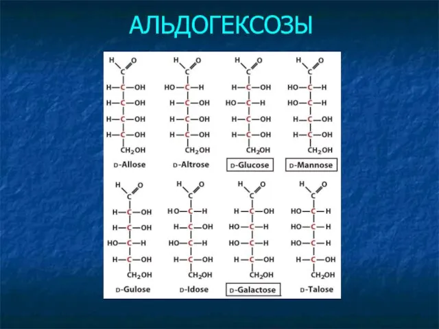 АЛЬДОГЕКСОЗЫ