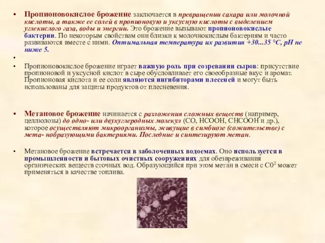 Пропионовокислое брожение заключается в превращении сахара или молочной кислоты, а также