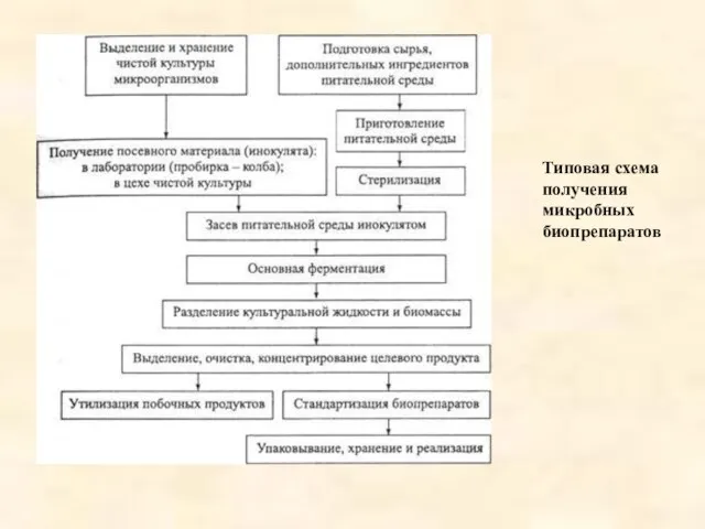 Типовая схема получения микробных биопрепаратов