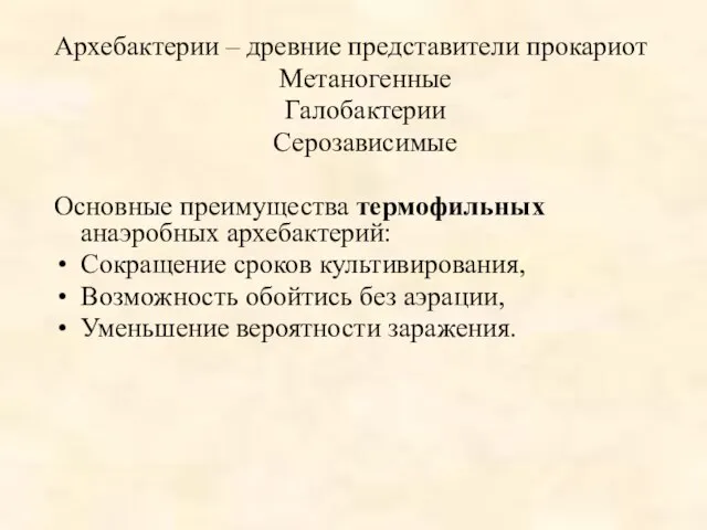 Архебактерии – древние представители прокариот Метаногенные Галобактерии Серозависимые Основные преимущества термофильных