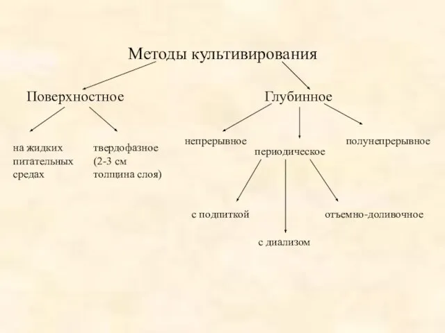 Методы культивирования Поверхностное Глубинное на жидких питательных средах твердофазное (2-3 см