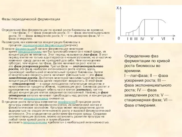 Фазы периодической ферментации Определение фаз ферментации по кривой роста биомассы во