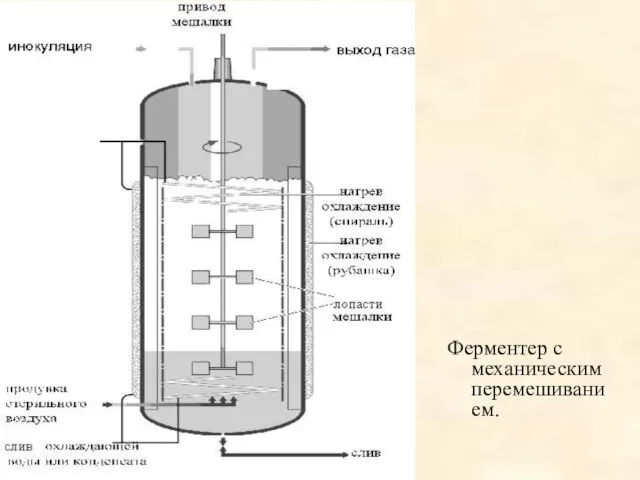 Ферментер с механическим перемешиванием.