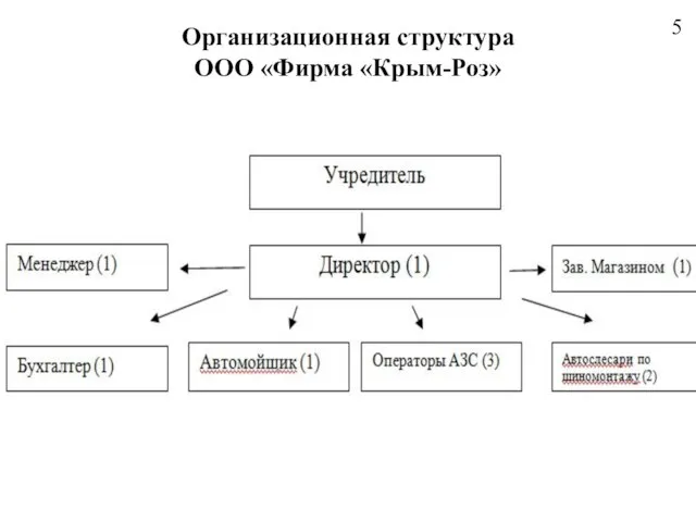 Организационная структура ООО «Фирма «Крым-Роз» 5