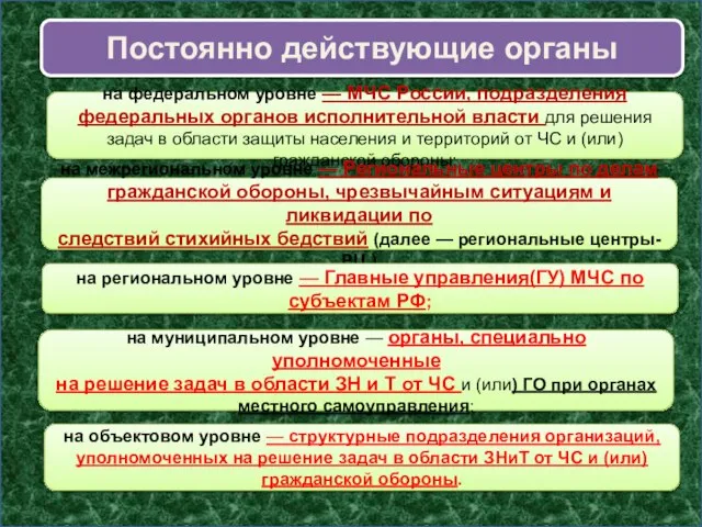 Постоянно действующие органы на федеральном уровне — МЧС России, подразделения федеральных